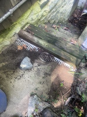 Rear of home storm drain maintenance! - Customer noticed water in basement every time it would rain and reached out to have the drains cleared with hydro jetted and if we can clean the area as well because they were away on business. Rear of home storm drain maintenance! - Customer noticed water in basement every time it would rain and reached out to have the drains cleared with hydro jetted and if we can clean the area as well because they were away on business.