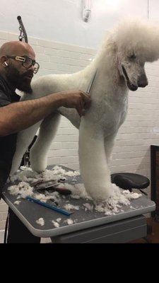 Grooming - We offer Grooming 7 days a week from experienced groomers who are adept in a variety of haircut styles and work with all shapes and sizes of dogs.