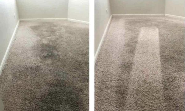 Carpet extracting of pet hair ! - Carpet extractors are also the most useful choice if you haven't cleaned your carpets in a long time, or use them very frequently! In this photo you see before and after the carpet was cleaned for the first time ! Carpet extracting of pet hair ! - Carpet extractors are also the most useful choice if you haven't cleaned your carpets in a long time, or use them very frequently! In this photo you see before and after the carpet was cleaned for the first time !
