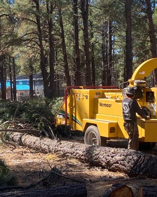 FireWise - #liveoaklandmanagement #forests #forestry #woods #arizona #coldmorning #vermeer #stihl #firewise #foresthealth #bluecollar FireWise - #liveoaklandmanagement #forests #forestry #woods #arizona #coldmorning #vermeer #stihl #firewise #foresthealth #bluecollar
