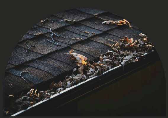 Gutter Cleaning - We keep your gutters free and clear. We carry away all the debris and use pressurized water to clear all clogs from downspouts. Are your gutters ready for this winter? We are your go to company and we will come out and do the job for you. Let's get you gutters clutter free with the best results you could ever get! Gutter Cleaning - We keep your gutters free and clear. We carry away all the debris and use pressurized water to clear all clogs from downspouts. Are your gutters ready for this winter? We are your go to company and we will come out and do the job for you. Let's get you gutters clutter free with the best results you could ever get!