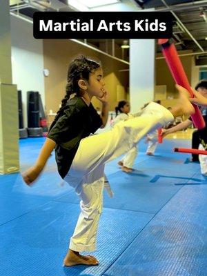 Tiny Tigers Taekwondo – Big Confidence for Little Champions! 🐯🥋 Fun, Confidence, Balance – All in One! - Our Tiny Tigers Taekwondo program at Masters Martial Arts Academy in Syosset is specially designed for children ages 3½ to 6 years old!

Through fun, age-appropriate martial arts activities, your little one will develop confidence, balance, coordination, focus, discipline, and respect—all while having a great time!

Our classes combine beginner Taekwondo techniques, exciting games, and positive encouragement to help young children build strong bodies, focused minds, and important life skills.

We believe learning should be FUN! Every class helps children improve their listening skills, follow directions, make friends, and celebrate their accomplishments.

Little Tigers Today, Confident Leaders Tomorrow!

Give your child a strong start with martial arts training in a safe, welcoming, and encouraging environment.

📍 Masters Martial Arts Academy – Syosset, NY

Contact us today to schedule your child's first class!