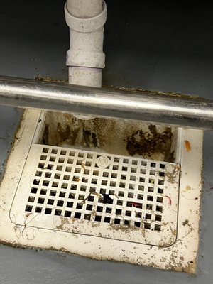 Local restaurant 2023 - Deep cleaning of a local restaurant Local restaurant 2023 - Deep cleaning of a local restaurant