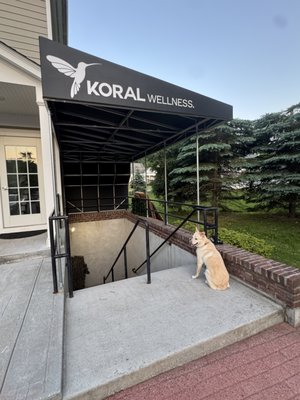 KORAL Wellness | Recovery & Longevity Lounge – Somers, NY - KORAL Wellness is a modern recovery lounge designed to help you reset, restore, and feel your absolute best. Blending science-backed modalities with intentional self-care, we offer a curated suite of services including:
Infrared Sauna
Cold Plunge
Red Light Therapy
NormaTec Compression
Targeted Light Therapy
Cocoon Wellness Pod
Rooted in the belief that healing is personal, our approach is both results-driven and soul-centered—welcoming everyone from student athletes and weekend warriors to wellness newcomers and biohackers.
Our space is earthy, elevated, and designed to regulate your nervous system the moment you walk through the door. Whether you’re chasing performance, managing stress, or seeking peace, KORAL meets you where you are. KORAL Wellness | Recovery & Longevity Lounge – Somers, NY - KORAL Wellness is a modern recovery lounge designed to help you reset, restore, and feel your absolute best. Blending science-backed modalities with intentional self-care, we offer a curated suite of services including:
Infrared Sauna
Cold Plunge
Red Light Therapy
NormaTec Compression
Targeted Light Therapy
Cocoon Wellness Pod
Rooted in the belief that healing is personal, our approach is both results-driven and soul-centered—welcoming everyone from student athletes and weekend warriors to wellness newcomers and biohackers.
Our space is earthy, elevated, and designed to regulate your nervous system the moment you walk through the door. Whether you’re chasing performance, managing stress, or seeking peace, KORAL meets you where you are.