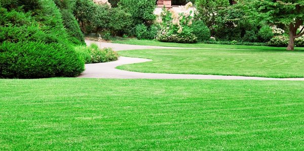Garden & Maintenance - Garden & Maintenance