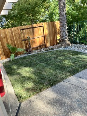 Lawn Makeover 08/2024 - Customer wanted old lawn out and new sod installed with a fresher look and feeling for the backyard and front yard environments. Also removed two major plants for the customer in rock bed areas with a clean up of excess debris. Lawn Makeover 08/2024 - Customer wanted old lawn out and new sod installed with a fresher look and feeling for the backyard and front yard environments. Also removed two major plants for the customer in rock bed areas with a clean up of excess debris.