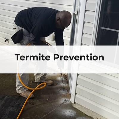 HORIZON TERMITE CONTROL - Updated May 2026 - 23 Photos & 106 Reviews ...