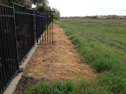 Weed Control & Tree, Shrub Maintenance - Weeds control is important for your property. Weeds are fuel for fires, can lower property value, release allergy-causing pollens, provide harborage for rodents and insects, and can interrupt proper drainage. Let our team of experts help maintain your property landscape.