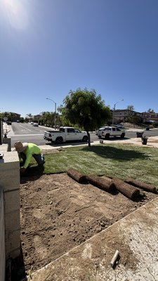 Sod Project - Sod Installation Sod Project - Sod Installation