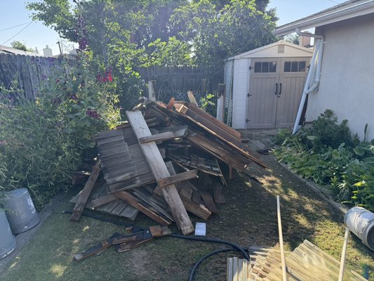 Backyard clean up - Backyard clean up