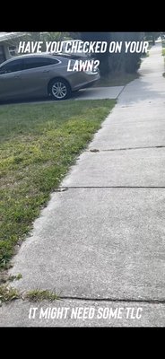 TLC for a lawn with overgrown edges - Lawns need attention too. But with the world back in full gear, home owners don’t have the time. That’s where we come in and take care of your to do list. Here we started to push back the lawn edges to their original line. Mowed the lawn down according to the owners request. We threw in pressure washing for the final step. Owner couldn’t stop thanking us after the job was done! TLC for a lawn with overgrown edges - Lawns need attention too. But with the world back in full gear, home owners don’t have the time. That’s where we come in and take care of your to do list. Here we started to push back the lawn edges to their original line. Mowed the lawn down according to the owners request. We threw in pressure washing for the final step. Owner couldn’t stop thanking us after the job was done!