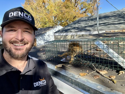 Wildlife Removal Services - We offer effective wildlife removal services- with a focus on humane handling. Our team will inspect your property for entry points offering trapping and exclusion options for effective results. Wildlife Removal Services - We offer effective wildlife removal services- with a focus on humane handling. Our team will inspect your property for entry points offering trapping and exclusion options for effective results.