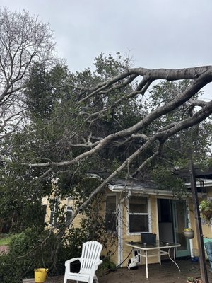 Emergency Services - Heavy winds caused these trees to uproot and fail, leading to structure damage to this home. Our crews were able to weather the storm and remove the tree from the structure and property so repairs could begin immediately. Emergency Services - Heavy winds caused these trees to uproot and fail, leading to structure damage to this home. Our crews were able to weather the storm and remove the tree from the structure and property so repairs could begin immediately.