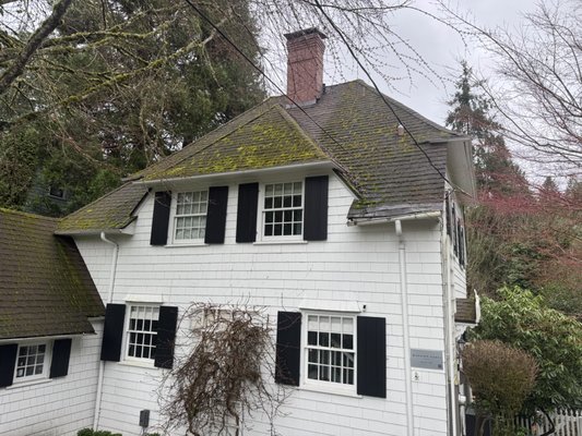 Moss removal and Treatment - This home was originally covered in moss which was depreciating the durability and protection of the roof. considering the steepness and the height of this roof, the tech was only able to treat this home with the use of a rope and harness Moss removal and Treatment - This home was originally covered in moss which was depreciating the durability and protection of the roof. considering the steepness and the height of this roof, the tech was only able to treat this home with the use of a rope and harness