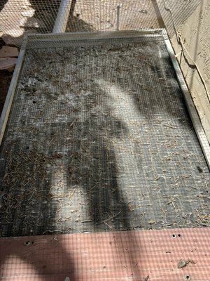 Condenser Cleaning - Here is a older R-22 system which is still running like a champ and just needed a little bit of TLC !! We did a deep clean and combed the coil fins. This unit is now ready for SUMMER !!!