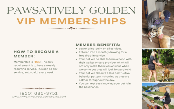 VIP Memberships! - We have rolled out a VIP membership for our loyal customers. If you have a recurring, auto-paid, service with us each week you automatically qualify! Our members enjoy lower price points, higher availability, and get entered into monthly drawings for a chance to win a free drop-in. VIP Memberships! - We have rolled out a VIP membership for our loyal customers. If you have a recurring, auto-paid, service with us each week you automatically qualify! Our members enjoy lower price points, higher availability, and get entered into monthly drawings for a chance to win a free drop-in.