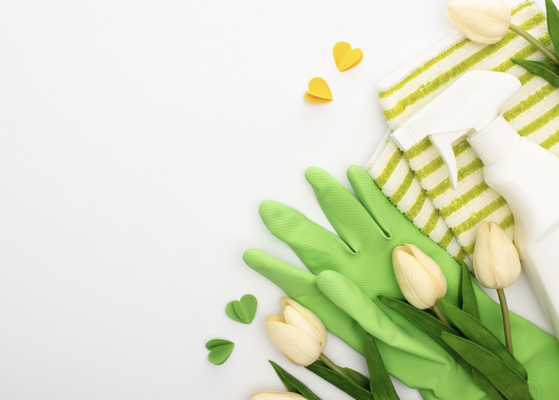 Green Cleaning - On Request - Choose Brighter Days for a cleaner, greener office environment! 🌿✨ Our North KC Metro team is dedicated to using eco-friendly cleaning solutions that are both effective and safe for your workspace. We provide top-tier janitorial services with a commitment to sustainability, ensuring your office stays fresh and environmentally responsible. Make the green choice for a brighter, healthier workplace with Brighter Days! 🌎🧼 Green Cleaning - On Request - Choose Brighter Days for a cleaner, greener office environment! 🌿✨ Our North KC Metro team is dedicated to using eco-friendly cleaning solutions that are both effective and safe for your workspace. We provide top-tier janitorial services with a commitment to sustainability, ensuring your office stays fresh and environmentally responsible. Make the green choice for a brighter, healthier workplace with Brighter Days! 🌎🧼
