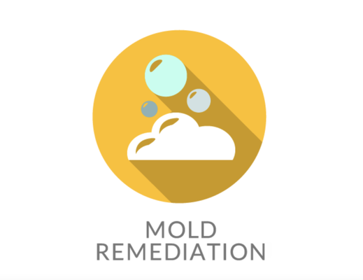 Mold Remediation - We offer no obligation, risk-free estimates. Contact us for a FREE on-site inspection and estimate. Mold Remediation - We offer no obligation, risk-free estimates. Contact us for a FREE on-site inspection and estimate.