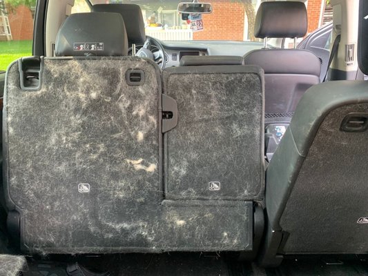 Audi A7 Interior Dog Hair Removal - This 2016 Audi A7 was covered with pet hair! The owner's two huskies love to ride in the back seat but cover the entire thing in white hair! Using a pet hair removal brush and meticulously vacuuming the interior, we were able to restore the inside of this SUV and remove all the dog hair!