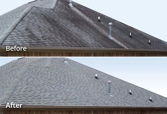 Roof Washing - We take pride in our work, and by utilizing the latest cleaning methods we ensure our customers receive the best service possible. Proper roof washing is done through the application of a chemical treatment that kills moss, lichen, mold, and black algae. This treatment is applied using low pressure and will not cause damage to shingles or void your roof’s warranty.
The benefits of roof washing include:
Elimination black algae streaks
Kills lichen, moss, and mold
No risk of damage to your roof’s structure
Restore’s your roof to its original color Roof Washing - We take pride in our work, and by utilizing the latest cleaning methods we ensure our customers receive the best service possible. Proper roof washing is done through the application of a chemical treatment that kills moss, lichen, mold, and black algae. This treatment is applied using low pressure and will not cause damage to shingles or void your roof’s warranty.
The benefits of roof washing include:
Elimination black algae streaks
Kills lichen, moss, and mold
No risk of damage to your roof’s structure
Restore’s your roof to its original color