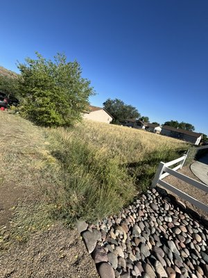 Property/lot (Cleanup ) - Call now for Free quotes/estimates Property/lot (Cleanup ) - Call now for Free quotes/estimates