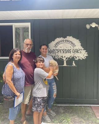 New Families for our Happy Pups! - Call or visit our site today! New Families for our Happy Pups! - Call or visit our site today!