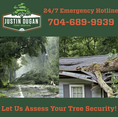 24/7 Emergency Hotline - You can rely on our team of tree service professionals to diagnose, treat, or even remove your trees if needed. We provide free estimates and timely service. If you have an emergency, such as storm damage, you can also give us a call on our 24/7 emergency hotline and we’ll be there to help you when you need it! 24/7 Emergency Hotline - You can rely on our team of tree service professionals to diagnose, treat, or even remove your trees if needed. We provide free estimates and timely service. If you have an emergency, such as storm damage, you can also give us a call on our 24/7 emergency hotline and we’ll be there to help you when you need it!