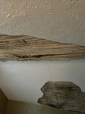 Plaster repair and texture - This repair is in an older building in Waukegan, water damage and mold growth from poor tuckpointing were the culprit. This problem was unknown to the buyer and manifested during the summer when rain is driven through the mortar.