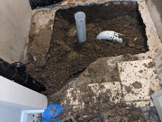Main Drain Replacement - Client called with drain problems. After investigating we discovered that the main drain was full of tree roots.
We dug out and replaced the entire drain, backfilled and cemented. Main Drain Replacement - Client called with drain problems. After investigating we discovered that the main drain was full of tree roots.
We dug out and replaced the entire drain, backfilled and cemented.