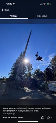 Crane - Big tree with tight entrances to take out? We have a crane