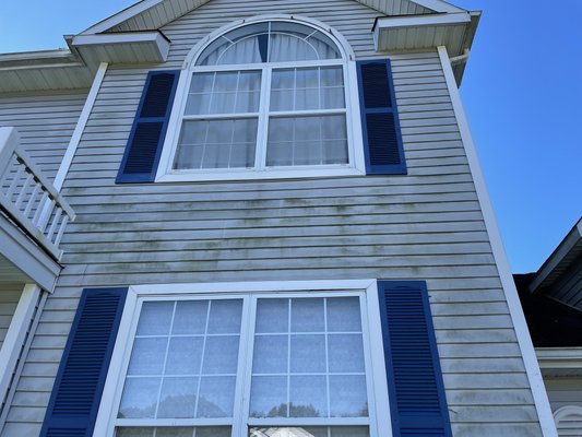 House Softwashing - Is your vinyl siding covered in ugly green algae? We can make your home look new again!