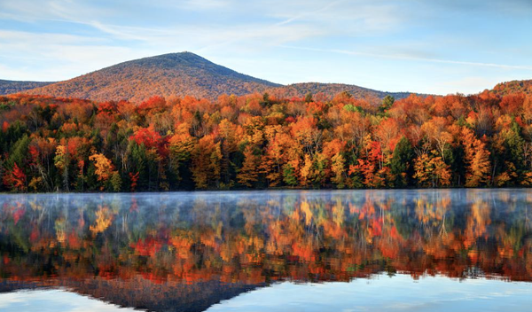 Enjoy your Vermont Vacation ...Leave your Pets with Us with Us - Drop off your Pets and head off on your wonderful majestic Vermont vacation- enjoy the Fall festivals, Wine Festivals, and sight seeing. Call us for scheduling.