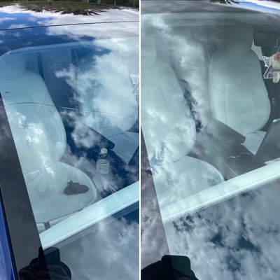 ONLY  Glass shop to offer LONG CRACK REPAIR! - Proud to be the #1 rated glass! The only Shop that offers Long Crack repairs, we truly care about your wallet! Make the Safe Choice today!