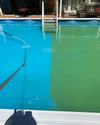 Pool Maintenance/Cleaning - When There’s no time to upkeep your pool, this is what happens. You call a professional like me to take care of it. Pool Maintenance/Cleaning - When There’s no time to upkeep your pool, this is what happens. You call a professional like me to take care of it.