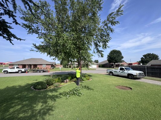 Tree trim/reduction - These are images of trees being reduced in size away from the rooftops of houses and siding. Some are simple, cleanup, some more in depth. Tree trim/reduction - These are images of trees being reduced in size away from the rooftops of houses and siding. Some are simple, cleanup, some more in depth.