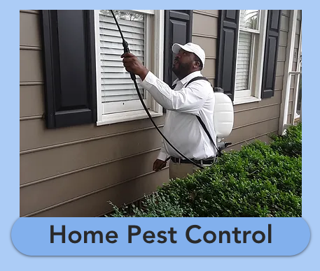 Home Pest Control - Call Today - Why Home Pest Control is Important
Pests are a threat to people and property. Insects can create unclean and even unsafe environments if left uncontrolled in living spaces. Pests can create property damage, such as wood deterioration, or destruction or contamination of food and eating spaces.
In choosing to protect their home and family with Virginia Pest Pro, our customers also facilitate a healthy planet. Our services are safe and eco-friendly services. Our precision gives you peace of mind and year-round protection.
As with all pest control options, effective home pest control requires consistent treatments to protect your home. We are able to accomplish this control with quarterly exterior treatments around the perimeter of the home and, on the rare occasion more control is required, we can provide additional control options free of charge.
Each treatment is only $59, with no contract required. Home Pest Control - Call Today - Why Home Pest Control is Important
Pests are a threat to people and property. Insects can create unclean and even unsafe environments if left uncontrolled in living spaces. Pests can create property damage, such as wood deterioration, or destruction or contamination of food and eating spaces.
In choosing to protect their home and family with Virginia Pest Pro, our customers also facilitate a healthy planet. Our services are safe and eco-friendly services. Our precision gives you peace of mind and year-round protection.
As with all pest control options, effective home pest control requires consistent treatments to protect your home. We are able to accomplish this control with quarterly exterior treatments around the perimeter of the home and, on the rare occasion more control is required, we can provide additional control options free of charge.
Each treatment is only $59, with no contract required.