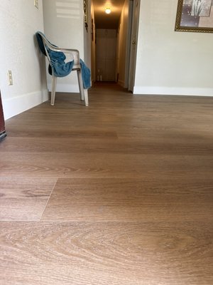Luxury Vinyl Plank installation, September 2023 - Experience elegance and sophistication with our expertly installed luxury vinyl plank flooring. Our team combines craftsmanship and top-quality materials for stunning, realistic wood grain surfaces that are both stylish and durable. Enjoy the timeless allure of hardwood without sacrificing practicality, as our luxury vinyl planks resist scratches, spills, and daily wear. Whether for your home or business, our seamless installation service guarantees flawless results that exceed expectations. Indulge in unparalleled luxury with our luxury vinyl plank installation. Luxury Vinyl Plank installation, September 2023 - Experience elegance and sophistication with our expertly installed luxury vinyl plank flooring. Our team combines craftsmanship and top-quality materials for stunning, realistic wood grain surfaces that are both stylish and durable. Enjoy the timeless allure of hardwood without sacrificing practicality, as our luxury vinyl planks resist scratches, spills, and daily wear. Whether for your home or business, our seamless installation service guarantees flawless results that exceed expectations. Indulge in unparalleled luxury with our luxury vinyl plank installation.