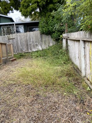 Weed removal - Weed removal Weed removal - Weed removal