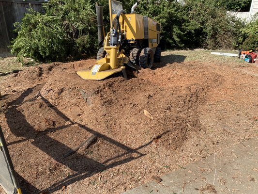 Stump Removal - Our certified and licensed technicians can handle any size stump removal job. All of our work comes with a Satisfaction Guarantee. We have a bundle discount if you're looking to have multiple stumps removed. Call us today for more details, and make sure you let us know that you found us on Yelp! Stump Removal - Our certified and licensed technicians can handle any size stump removal job. All of our work comes with a Satisfaction Guarantee. We have a bundle discount if you're looking to have multiple stumps removed. Call us today for more details, and make sure you let us know that you found us on Yelp!