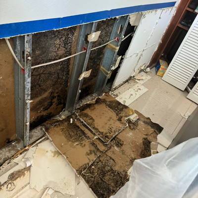 Mold Remediation - Our team specialize in identifying and eliminating mold growth, ensuring your home stays safe and healthy. Mold Remediation - Our team specialize in identifying and eliminating mold growth, ensuring your home stays safe and healthy.