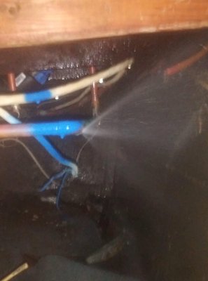 Acculine Leak Detection - Updated August 2025 - 121 Photos - 46 Reviews