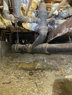 San Bruno Crawl Space Before And After - These photos highlight a full sewer repipe completed in a crawl space. The first image shows the original cast iron piping, which had reached the end of its service life and was no longer up to current standards. In the second photo, you can see the newly installed ABS piping—clean, durable, and fully up to code. At Golden Gate Plumbing, we take pride in providing high-quality work, even in the tightest spaces, to ensure long-lasting and reliable results for our clients. San Bruno Crawl Space Before And After - These photos highlight a full sewer repipe completed in a crawl space. The first image shows the original cast iron piping, which had reached the end of its service life and was no longer up to current standards. In the second photo, you can see the newly installed ABS piping—clean, durable, and fully up to code. At Golden Gate Plumbing, we take pride in providing high-quality work, even in the tightest spaces, to ensure long-lasting and reliable results for our clients.