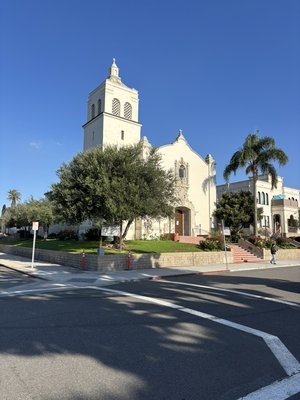 Nativity church in Torrance - Church Olive tree pruning Nativity church in Torrance - Church Olive tree pruning
