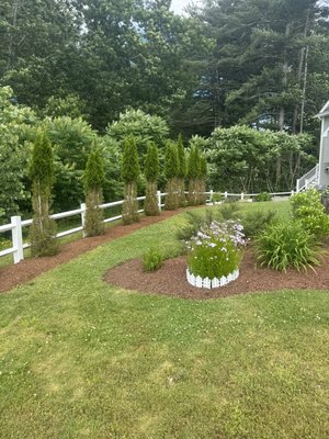 Tree Trimming & Mulching for a beautiful yard. - Happy Customers and Mad Squirrels = A Good Day at Apex. Tree Trimming & Mulching for a beautiful yard. - Happy Customers and Mad Squirrels = A Good Day at Apex.
