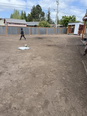 Remove grass and reseeding - Free estimates
