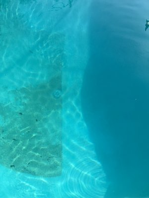 Fine Debris Removal. - A clear difference. The left shows what has yet to be vacuumed while the right showcases what has already been vacuumed. The straight line down the middle emphasizes the difference a good vacuum job can make for your pool. Fine Debris Removal. - A clear difference. The left shows what has yet to be vacuumed while the right showcases what has already been vacuumed. The straight line down the middle emphasizes the difference a good vacuum job can make for your pool.