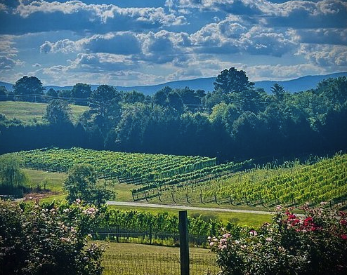 Three Vineyards Half Day Private Wine Tour From Asheville - Journey through beautiful and stunning North Carolina on this half-day winery and vineyard tour from the Asheville metropolitan area. Your group will visit three amazing wineries and vineyards and explore North Carolina with an expert guide who handles all the driving leaving your group free to enjoy wineries, so sit back and relax, and enjoy the incredible scenery. This tour is unique because you will have a private chauffeur who will pickup and drop off your group up from your hotel or private residence. Great for couples, anniversaries, birthdays, and friends trip. This tour requires a minimum of 2 and most seating is limited to 6 participants. Three Vineyards Half Day Private Wine Tour From Asheville - Journey through beautiful and stunning North Carolina on this half-day winery and vineyard tour from the Asheville metropolitan area. Your group will visit three amazing wineries and vineyards and explore North Carolina with an expert guide who handles all the driving leaving your group free to enjoy wineries, so sit back and relax, and enjoy the incredible scenery. This tour is unique because you will have a private chauffeur who will pickup and drop off your group up from your hotel or private residence. Great for couples, anniversaries, birthdays, and friends trip. This tour requires a minimum of 2 and most seating is limited to 6 participants.