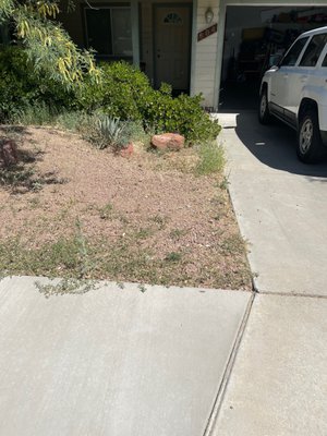 yard work sample - Worked on this front yard in the Verde Valley.