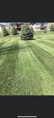 Lawn Mowing & Trimming - Lawn mowed for guest over the past week. Lawn Mowing & Trimming - Lawn mowed for guest over the past week.