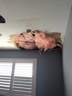 Water Damage Drywall Fix – Temescal Valley - The customer had been trying to find a handyman for a full week. They left messages and made calls, but no one answered the phone or called them back. They were frustrated and starting to worry about the water damage in their home.
Then they called us. We answered on the first try and set up an appointment right away. Our lead technician arrived on time, looked over the damage, and gave a clear quote during that same visit. We were able to start the work the very next day.
Water had damaged drywall in several places throughout the house. After the areas were fully dry, we patched the drywall, carefully matched the texture so it blended with the rest of the walls, and painted everything. The finished walls look smooth and clean again.
The customer is extremely happy with the results. They told us they plan to call us for all their future projects because we answered the phone, showed up when we said we would, and did the job the right way.